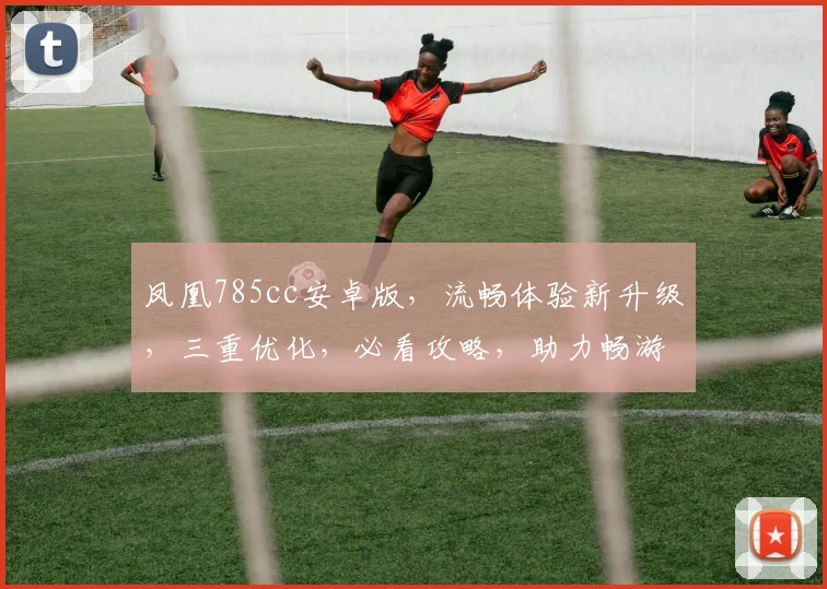 凤凰785cc安卓版，流畅体验新升级，三重优化，必看攻略，助力畅游