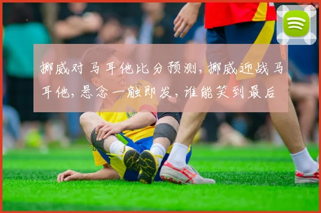 挪威对马耳他比分预测,挪威迎战马耳他,悬念一触即发,谁能笑到最后